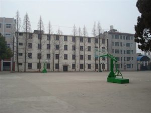 再回首，梦见青春，花正开！