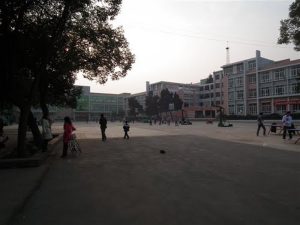 再回首，梦见青春，花正开！