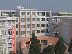 再回首，梦见青春，花正开！